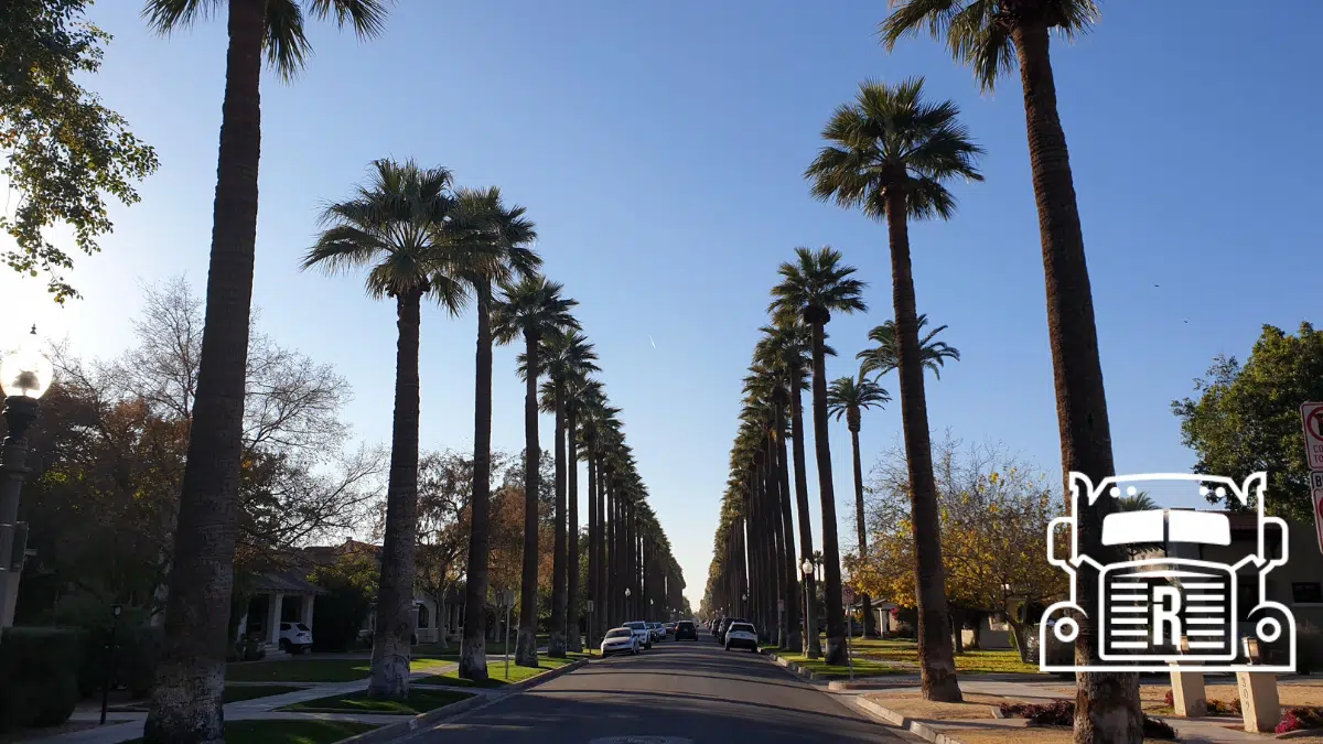 phoenix neighborhood with palm trees